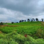 WhatsApp Image 2025-11-03 at 6.25.18 PM