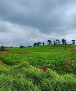 WhatsApp Image 2025-11-03 at 6.25.18 PM